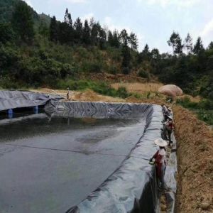2mm Reinforced HDPE Geomembrane Liner for Durable and Long-lasting Swimming Pool