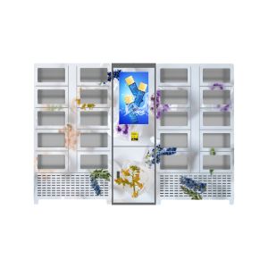 Touchscreen Vending Lockers Credit Card Payment Remote Platform
