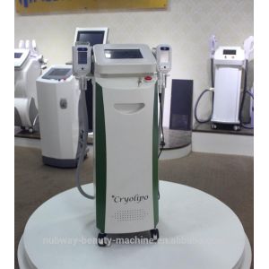 Cryo Lipo Cooling Fat Freezing Machine with RF Cavitation Handles