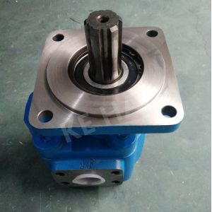 Custom Made Variable Displacement Gear Pump / Commercial Hydraulics Gear Pumps