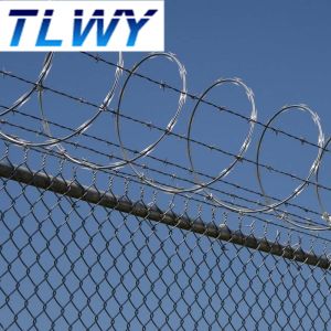 1.5mmx1.5mm Diamond Welded Razor Wire Mesh Electro Galvanized