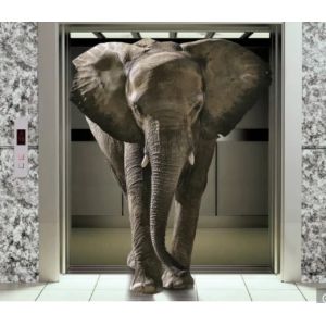 Manganese Steel Cargo Elevator 20 Tons 8m Freight Lift