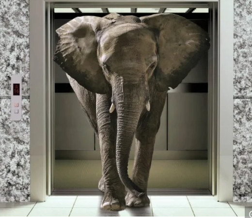 Buy Manganese Steel Cargo Elevator 20 Tons 8m Freight Lift at wholesale prices