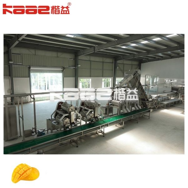 1-120T/H Dual Channel Juicer Fresh Fruit Processing Line Mango Pulp Production