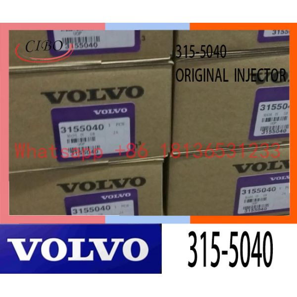 High Precision 3155040 VOL Excavator Engine Injector