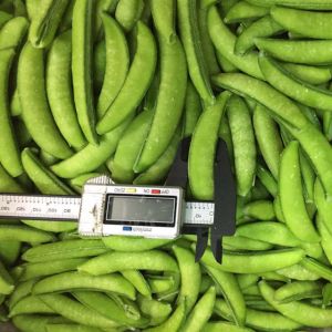 China No Allergens New Crop Bulk IQF Frozen Sugar Snap Peas on sale