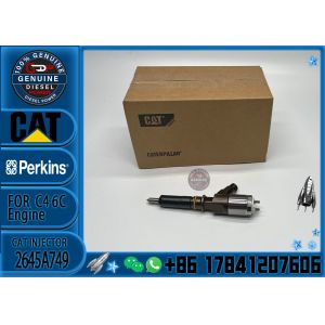 326 4700 Common Rail Fuel 2645a749 Excavator 236-0962 2360962 10r7224 10r-7224