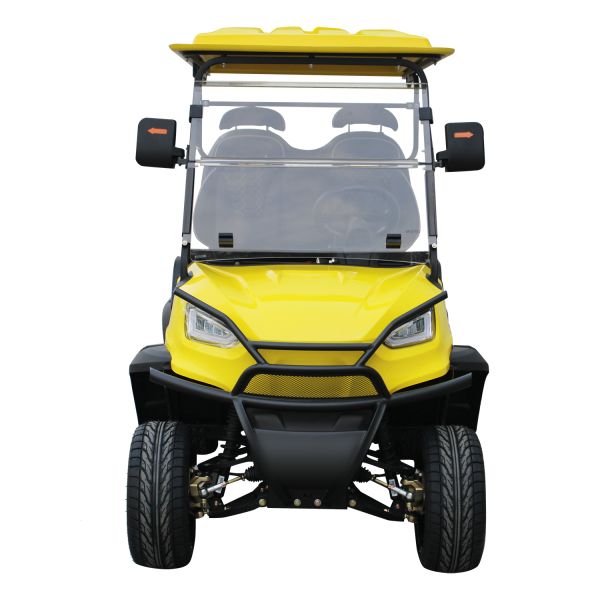 Rear Hub Motor 48V Lithium Battery Golf Cart with Audio System 6 Passenger Modern Style