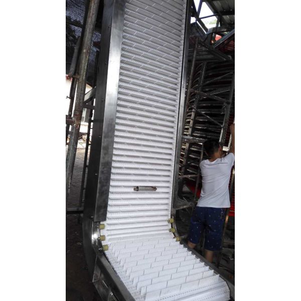 Hot Selling Plastic Mesh Belt Lifting Conveyor Food Transportation