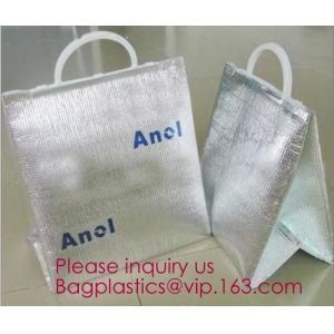 Customized logo printing insulated food delivery cooler bag,wholesale waterproof