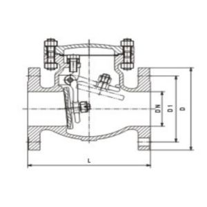 Cast Steel ANSI Flanged Swing Check Valve Pressure 150lb/300lb