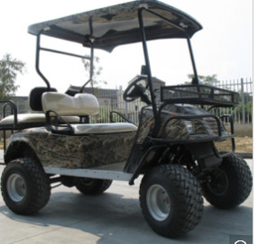 Buy Electric Hunting Buggy. Two Seats, Golf Buggy, off Road Buggy at wholesale prices