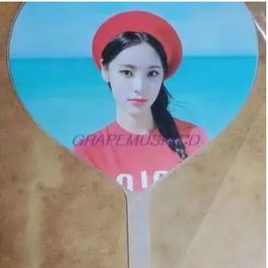 Custom KPop Event Fan For Gift Custom plastic PET Transparent 3D Fan