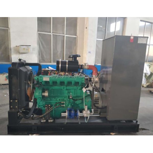 Buy 1500/1800rpm Speed 20kw Silent LNG CNG Electric Natural Gas Engine Power Generator Set at wholesale prices