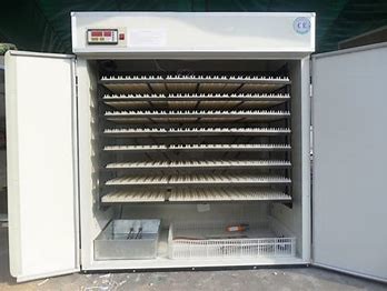 Buy 336pcs Industrial Chicken Eggs Incubator 90 Degree Self Turning at wholesale prices