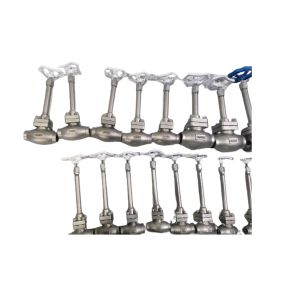 PN50 PN40 Cryogenic Globe Valve Stop Valve -196~+80 ℃ For LNG LOX LIN LAR LCO2