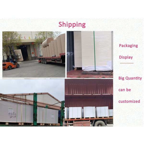 FDA Paper Cupstock Base Paperboard 170g / 190g / 210g No Fluorescent Whitening Agent FDA Paper Cupstock Base Paperboard 170g / 190g / 210g No Fluorescent Whitening Agent