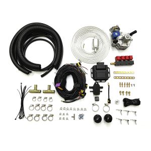 Petrol To Liquified Petroleum Gas Auto CNG LPG Conversion Kits 4 Cylinder EFI