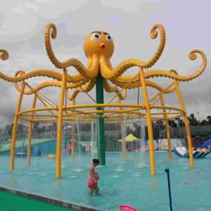 Quality Aqua Equipment Octopus with Water Spray for a Commercial Spray Park / Customized Water Park Equipment for sale