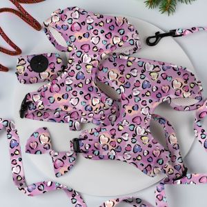 Quality Adjustable Luxury Neoprene Mesh Soft Pet Dog Harness Set with Personalized Custom Logo Leash and OEM/ODM Accepted for sale