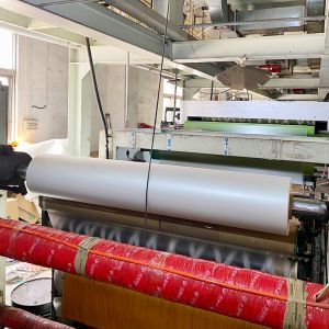 Matte Film Multiple Specifications Customization High Quality 22 Years Factory