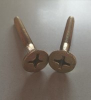 M6x45 M6x55 M6x65 Container Floor Screws for Shipping Container Made of Carbon Steel