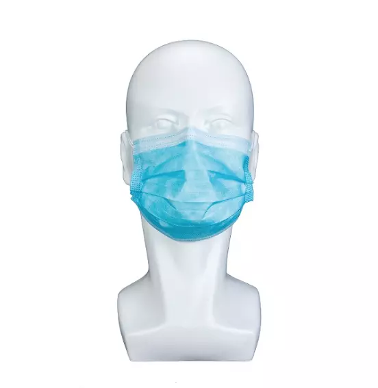 Blue Earloop Pleated Disposable Protective Mask Non Woven Adjustable Nose Piece