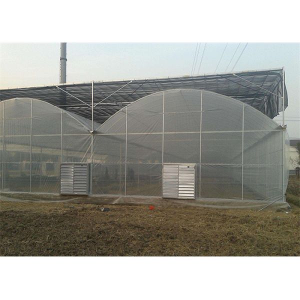Buy Large Size Reinforced Plastic Sheeting Greenhouse With Hydroponics System at wholesale prices