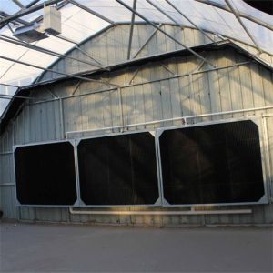 Automatic 100% Blackout Medical Growing Single Span Light Deprivation Greenhouse