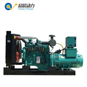 Quality biogas generator set with CHP for biogas plant for sale