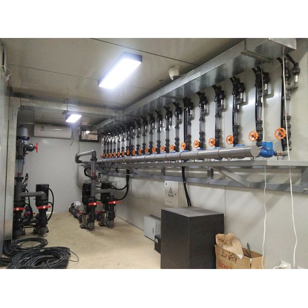 Mechanical 20FT Shipping Container Equipment 5800mm Length