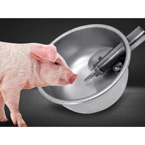 Piglet Nursery Pig Automatic Water Drinker Hog Cup Waterers