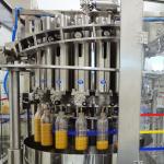 Customized Industrial Mango Juice And Puree Production Line For Mango Processing
