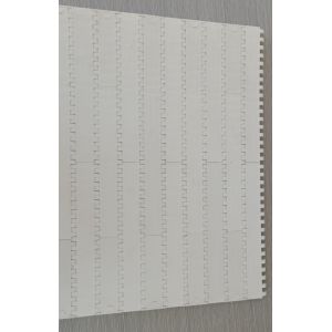                  1000 Series Modular Belt with 1 Inch Pitch             