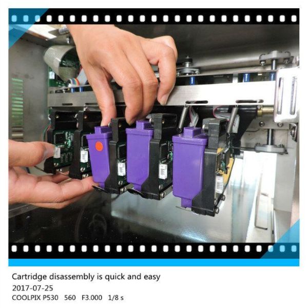 Poultry Egg Date Coding Machine Automatically Updated With LCD Touching Screen