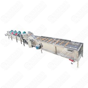 Commercial Fruit & Vegetable Processing Machines Dryer Fruit And Vegetables