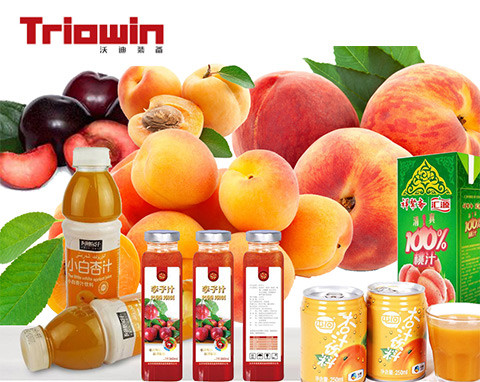 Industrial Apricot Puree Beverage Production Line With Fruit Cleaning Machine