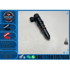 Construction Machinery PartsFuel Injector ForM11 PTDiesel4914328 3018835PXFor