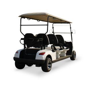 Tire Size 205/50-10 Tire diameter 18.1in 460mm Powerful 4KW AC Motor Electric