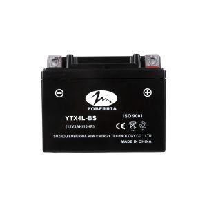 Quality Motorcycle Parts 12V 4ah Ytx5l-BS Ytz6s Battery Rechargeable for sale