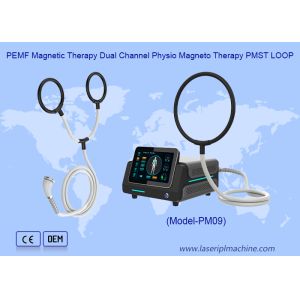 Portable Magnetic Therapy Loop High Intensity Physio Magnetic Machine