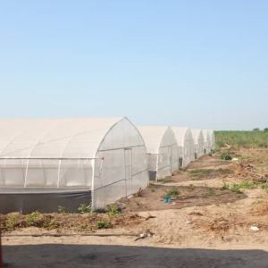 Fruits Growing Agricultural Polyethylene Film Greenhouse Hot Dip Galvanized