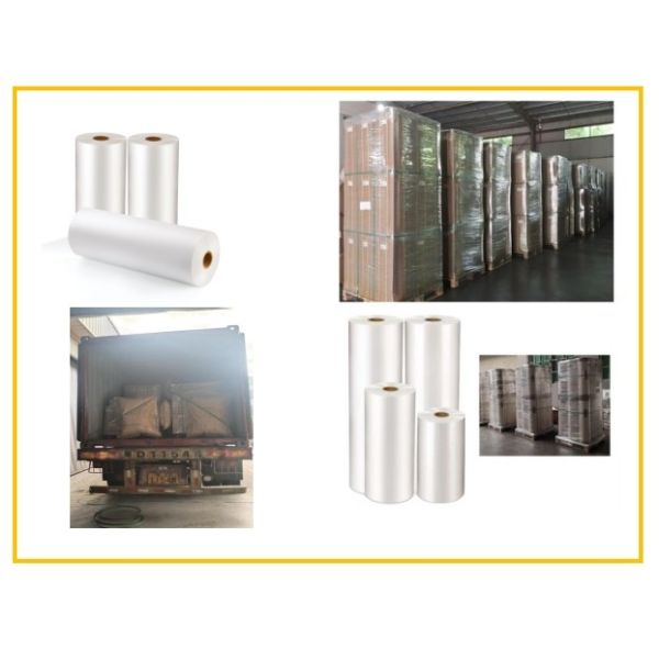 Buy 25mic Bopp Thermal Gloss Lamination Film  Prevent Fingerprint at wholesale prices