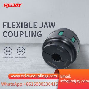 RA Series Coupling With Elastomer