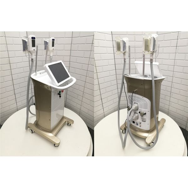 Buy Factory Cost Price Multifunctional Max -15 Celsius Cryolipolysis Slimming Machine Freezing Fat Cost For Sale at wholesale prices