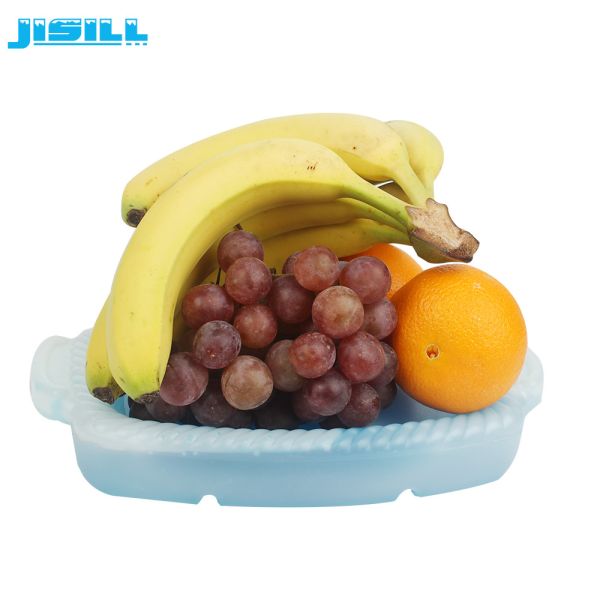 Eco Friendly 1200ml Cooler Eutectic Cold Plates For Cooling Fruit And Food
