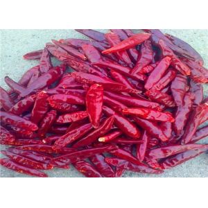8% Moisture Dried Whole Red Chilies