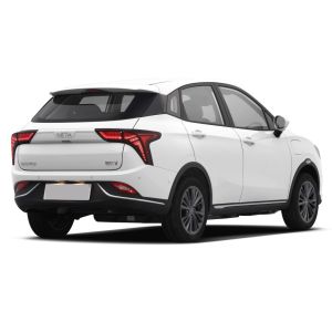 5 Seater Neta V 2023 Tide 300 Lite Electric SUV with Lithium Iron Phosphate and