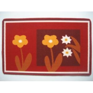 Absorbent door mats