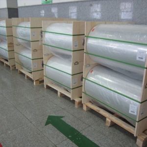 30mic 40mic Transparent Pet Shrink Film
